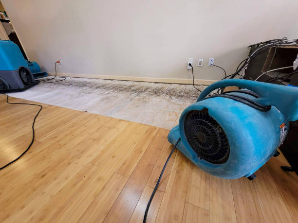 Professional Water Damage Repair technician working in Sea Girt, NJ